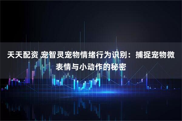 天天配资 宠智灵宠物情绪行为识别：捕捉宠物微表情与小动作的秘密