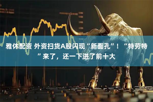 雅休配资 外资扫货A股闪现“新面孔”！“特劳特”来了，还一下进了前十大